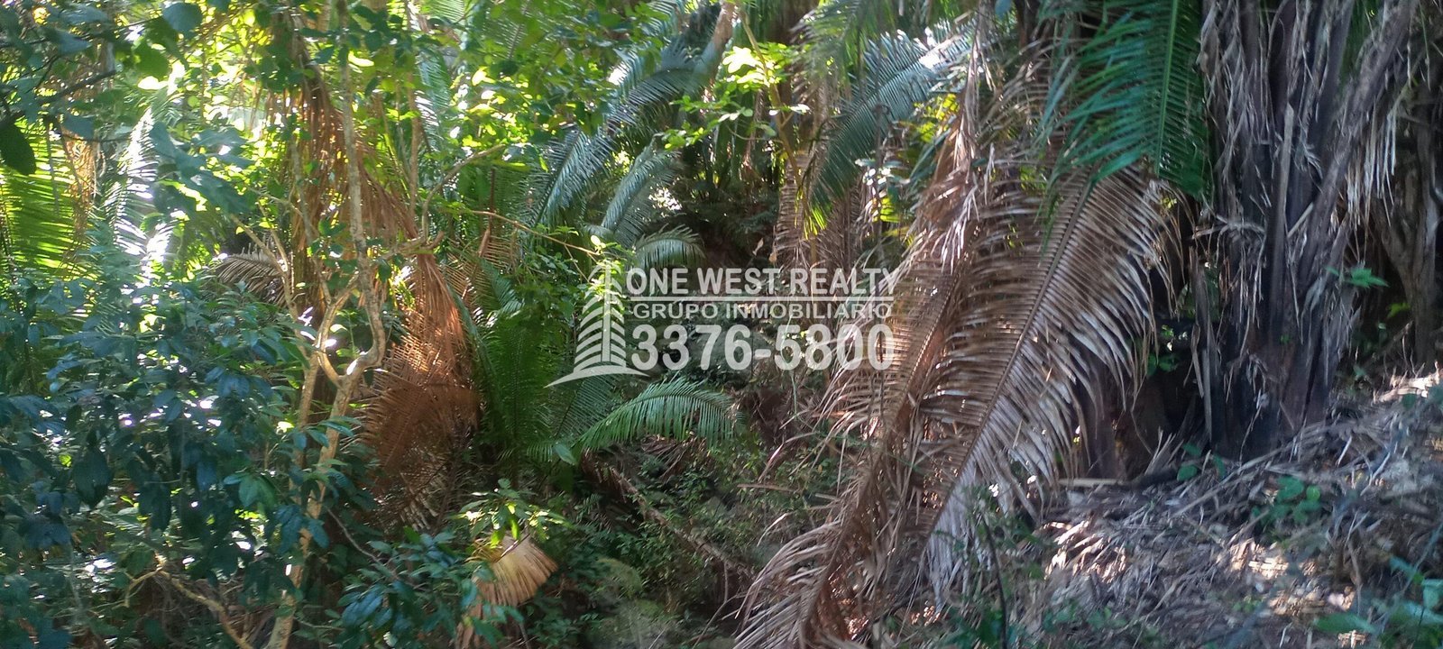 20230121_092818-scaled-4 La Ceiba Honduras 34 Acres of Land for Sale with an Amazing Ocean View
