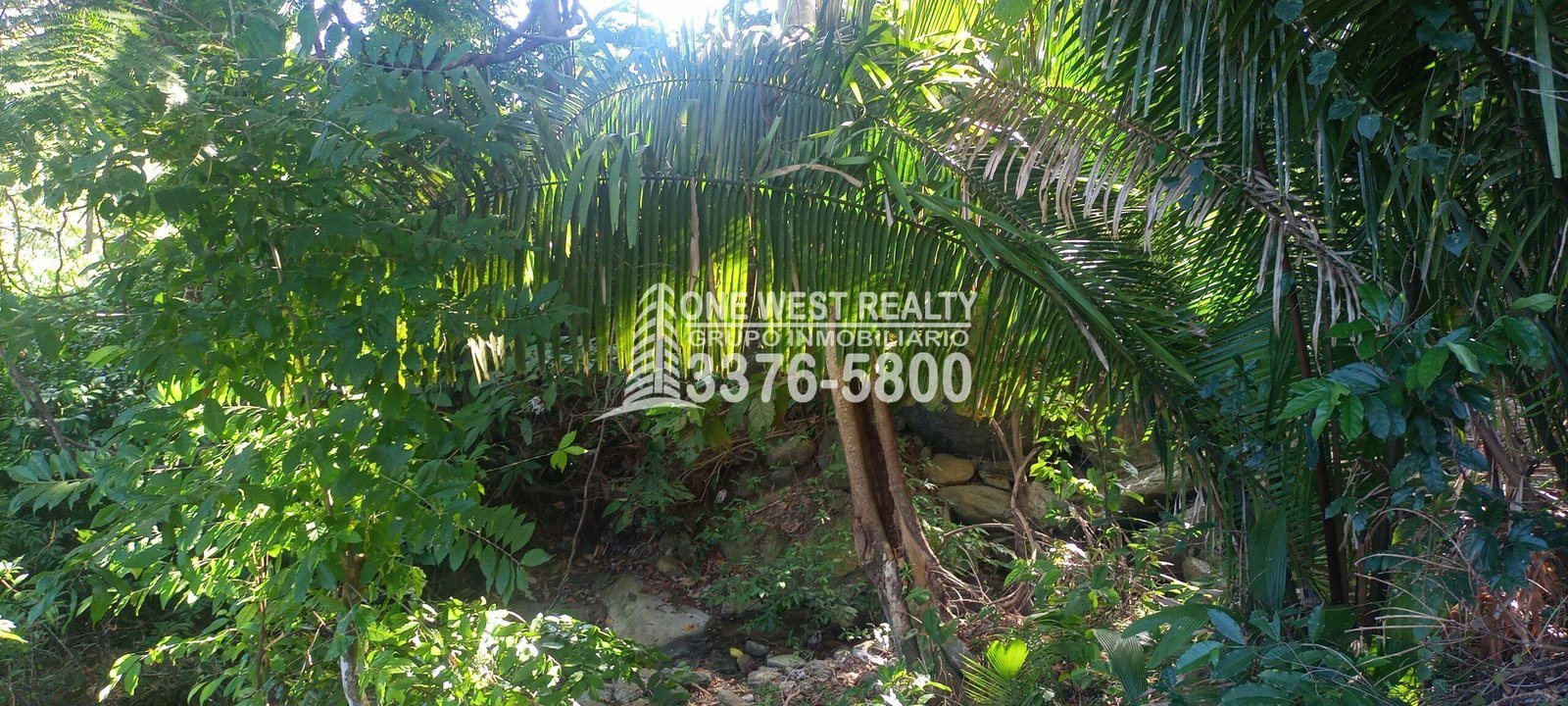 20230121_093053-scaled-4 La Ceiba Honduras 34 Acres of Land for Sale with an Amazing Ocean View