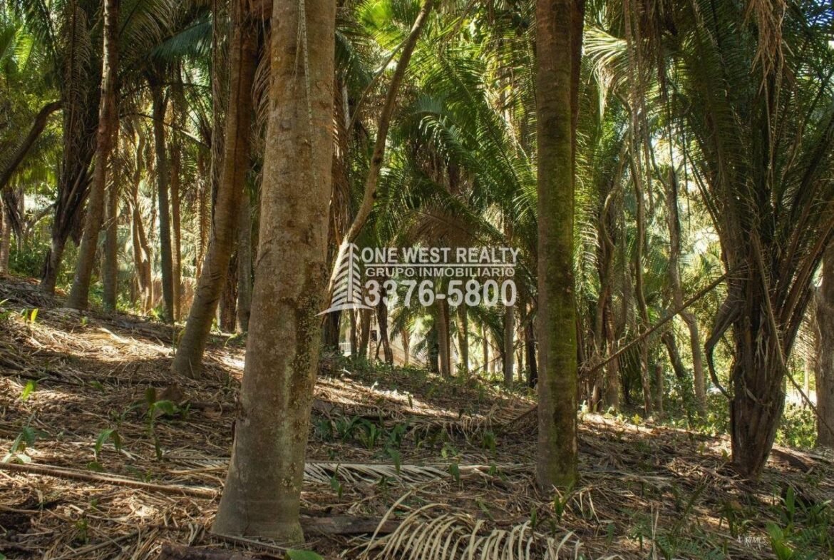 1170
