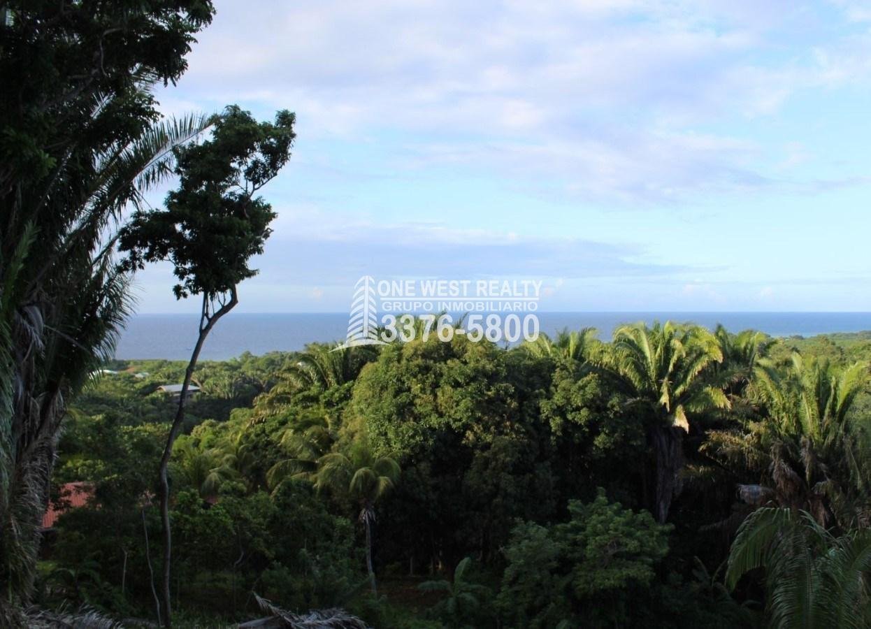 Gibson Bitght sales in Roatan, Honduras