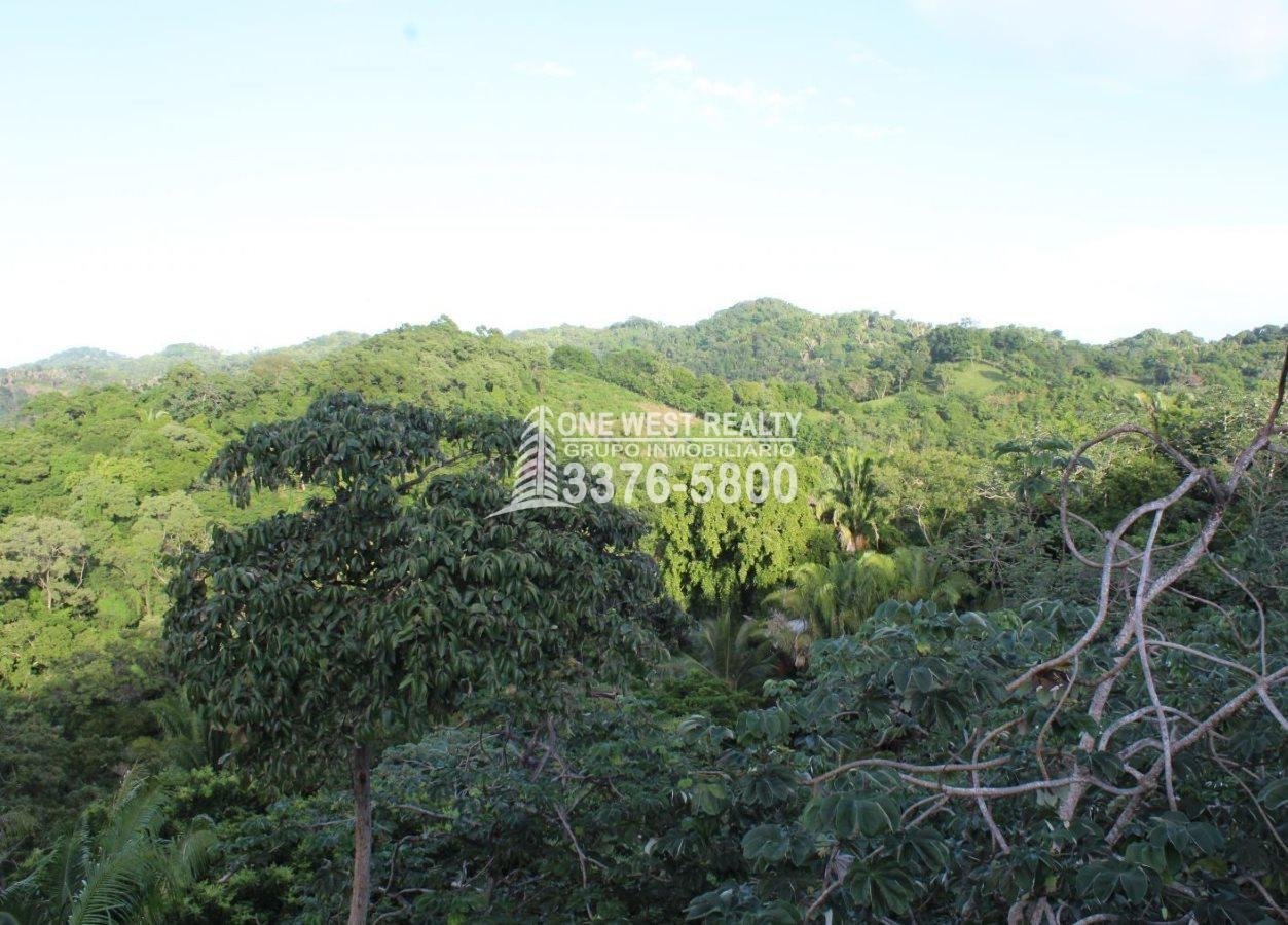 Gibson Bitght sales in Roatan, Honduras