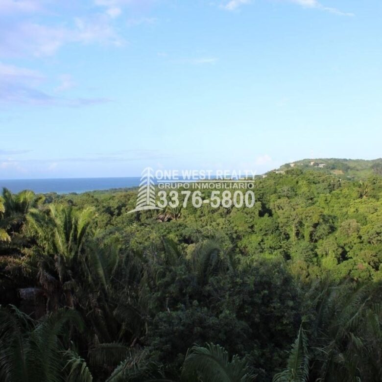 780