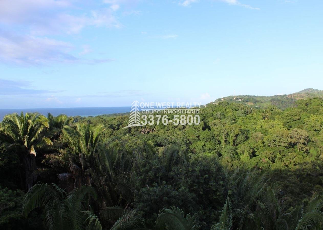 Gibson Bitght sales in Roatan, Honduras