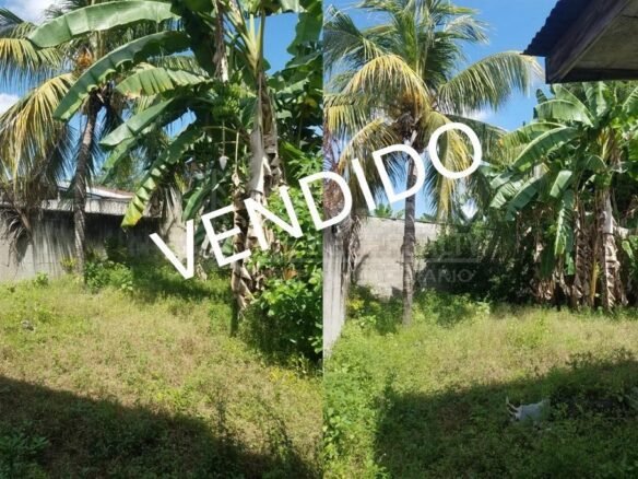Casa En Venta Col Bendeck El Progreso Yoro 4 habitaciones