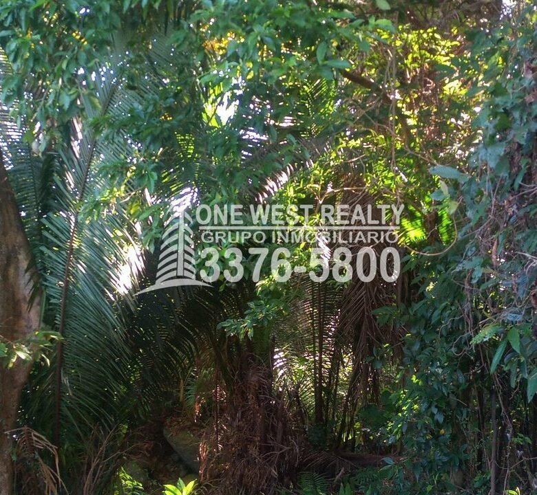 780