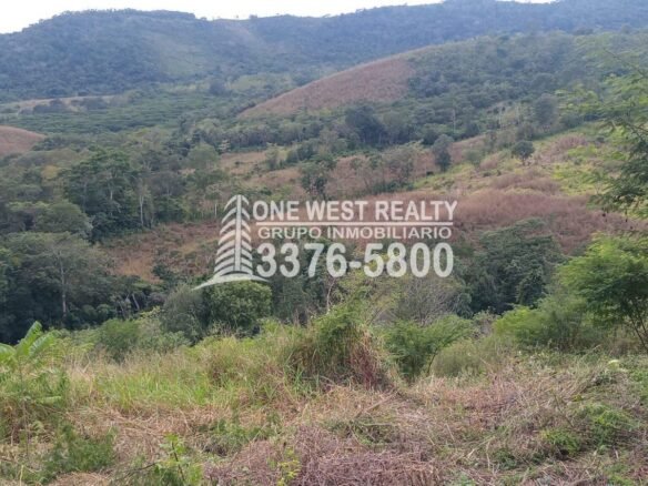 Venta de Terrenos en Santa Rita Yoro, Honduras