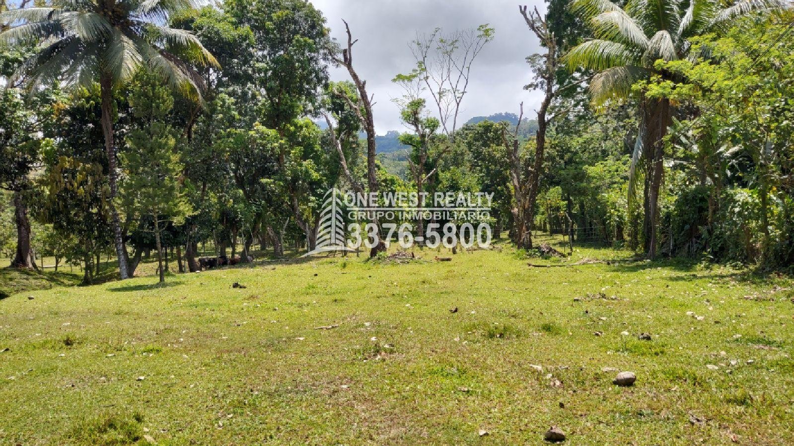 Honduras_omoa-cortes-terrenos-en-venta-2 Terreno de venta en Omoa Cortes con naciente de agua y cabañas