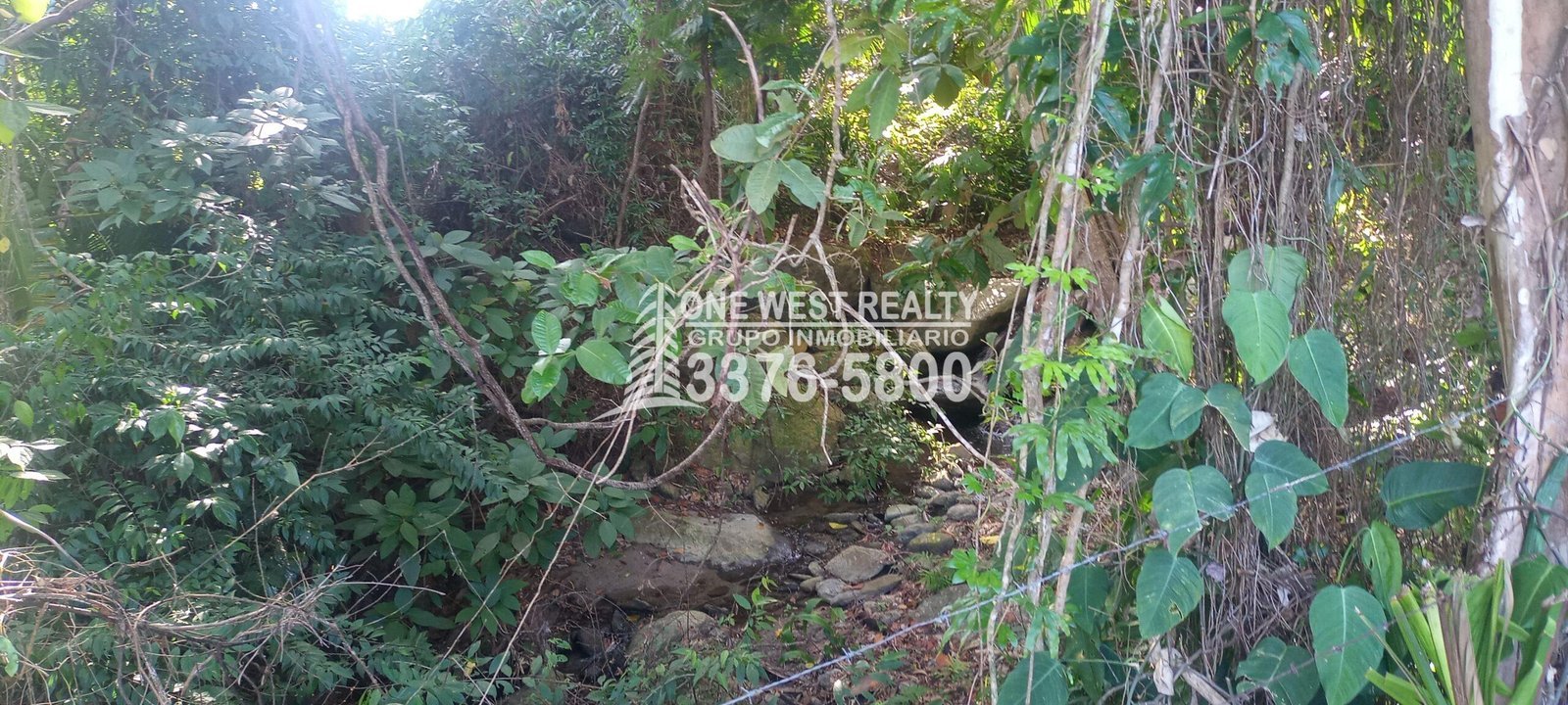 Hotel-La-Ceiba-Venta-scaled-4 La Ceiba Honduras 34 Acres of Land for Sale with an Amazing Ocean View