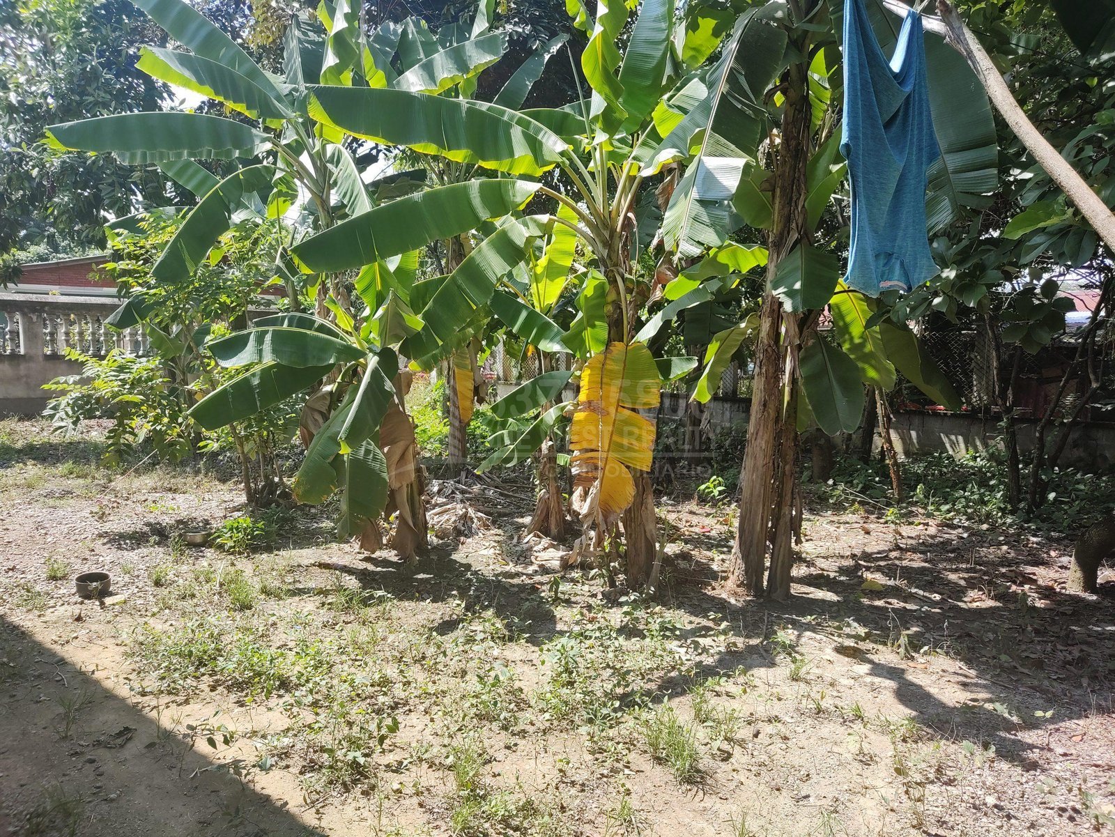 El Progreso Yoro venta de casa en Agua Blanca Sur ***VENDIDA***