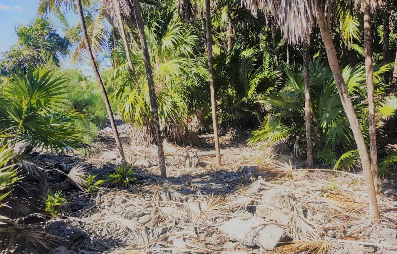 Lote de 3.6 Acres en Venta En Islas de la Bahia Cayos Cochinos
