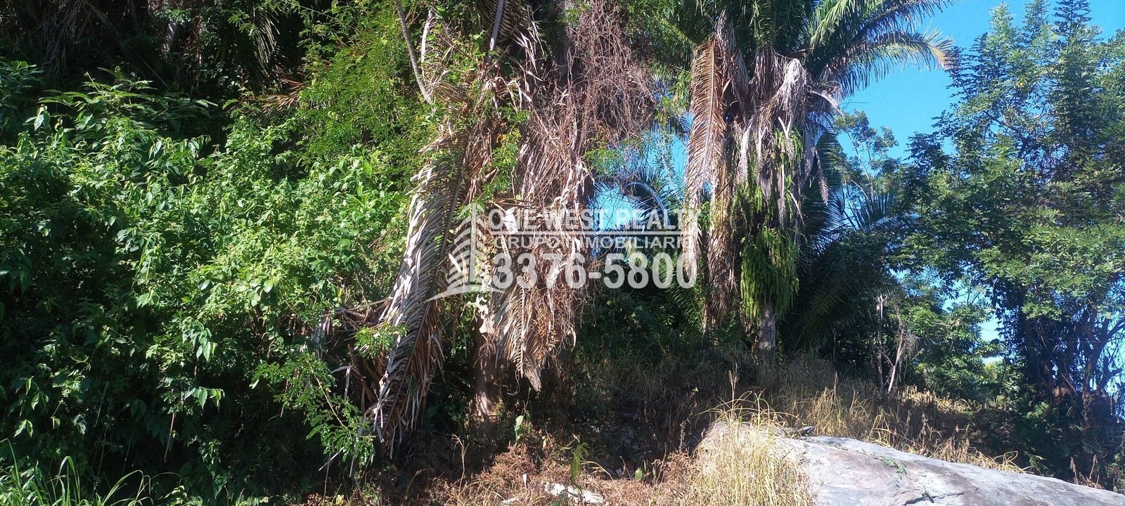 La-Ceiba-ATLANTIDA-Honduras-turismo-scaled-4 La Ceiba Honduras 34 Acres of Land for Sale with an Amazing Ocean View