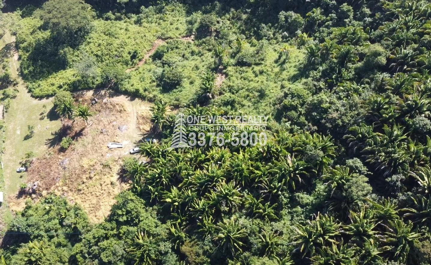 La-Roma-Ceiba-1-3 La Ceiba Honduras 34 Acres of Land for Sale with an Amazing Ocean View