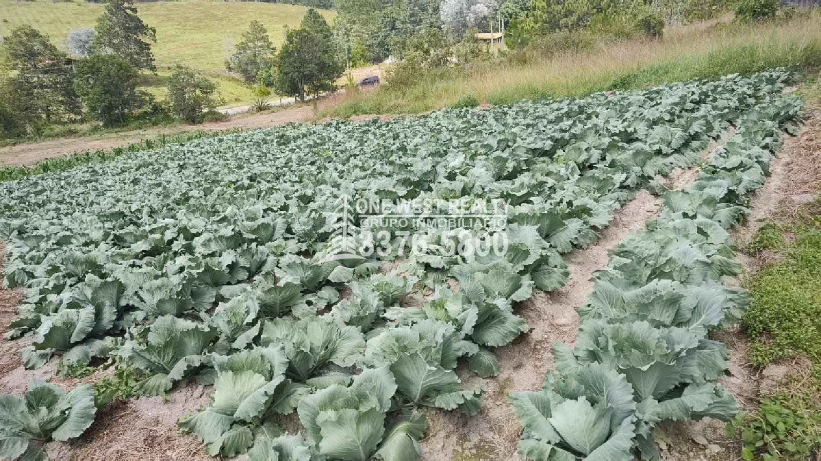 Terreno en venta a orilla de carretera en La Esperanza Intibuca Honduras