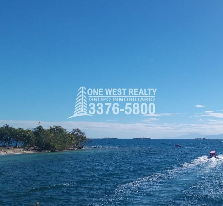 780