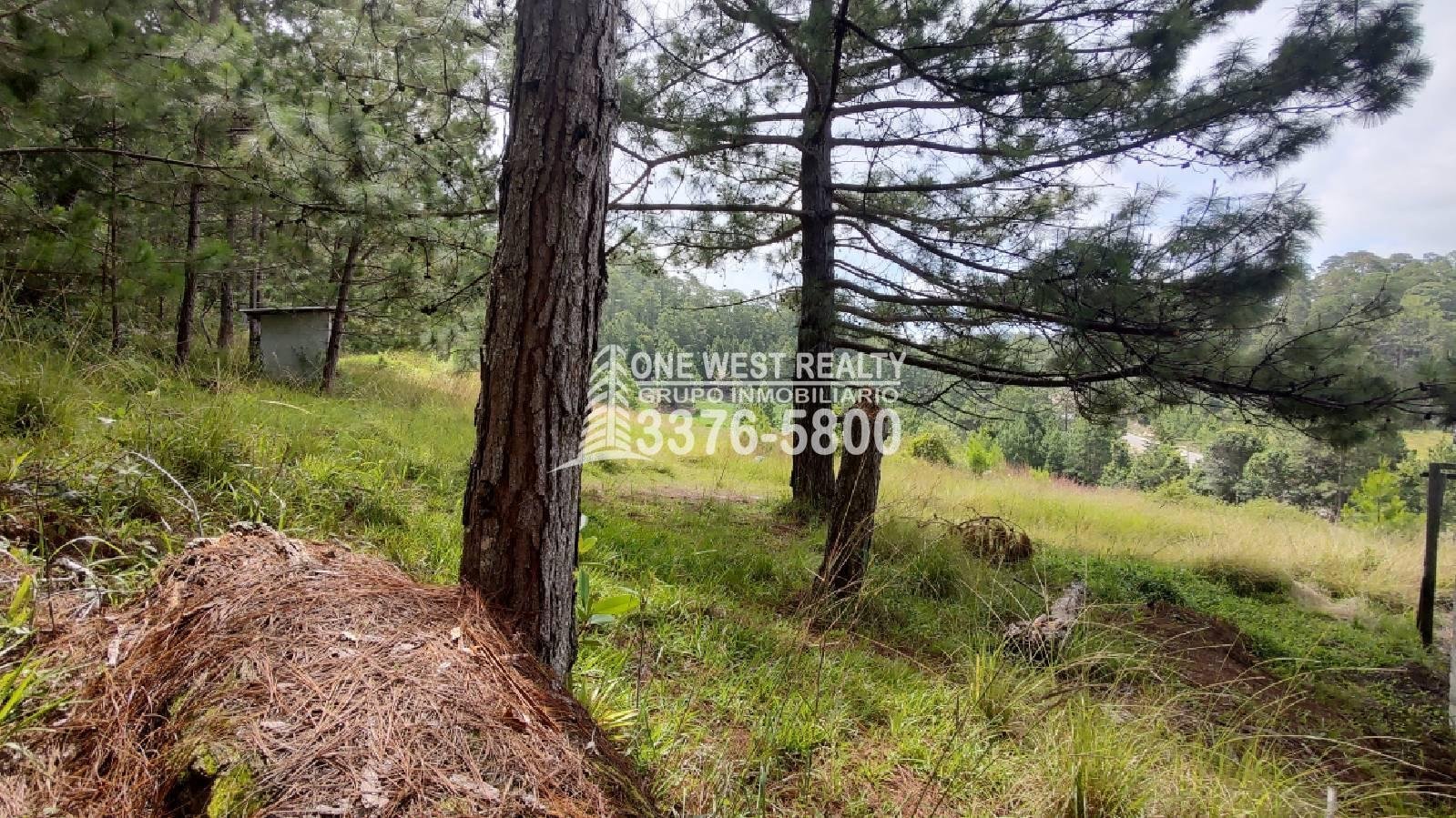 Terreno en venta a orilla de carretera en La Esperanza Intibuca Honduras