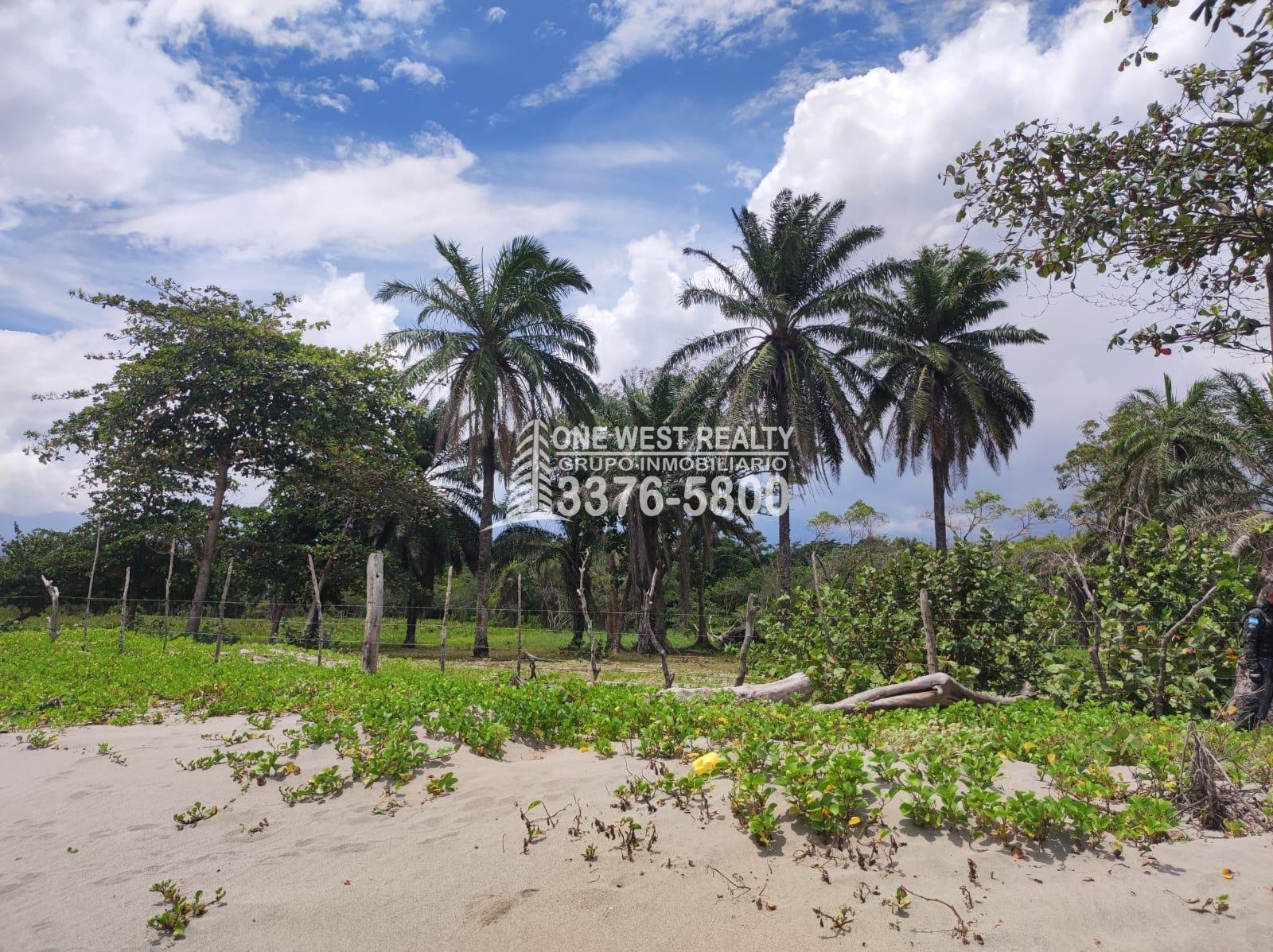 Terreno-en-venta-frente-a-la-playa-La-Ceiba-Cocopando-Bonitillo-1westrealty-1-3 Terreno en venta frente a la playa La Ceiba Coco Pando