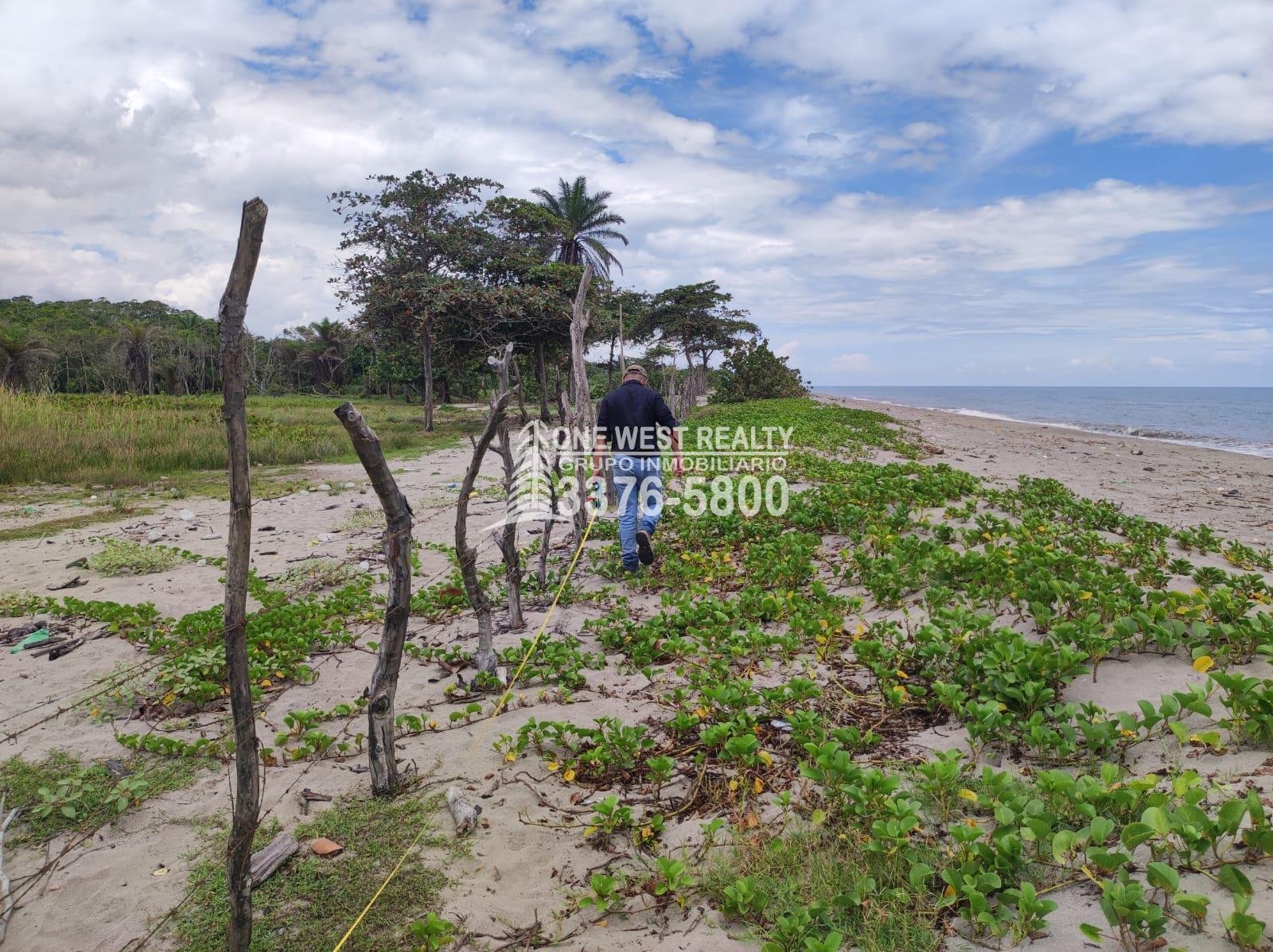 Terreno-en-venta-frente-a-la-playa-La-Ceiba-Cocopando-Bonitillo-1westrealty-5-1-4 Terreno en venta frente a la playa La Ceiba Coco Pando
