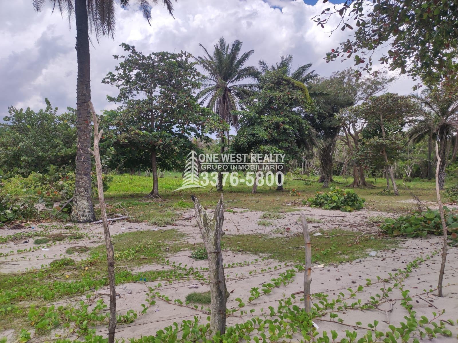 Terreno-en-venta-frente-a-la-playa-La-Ceiba-Cocopando-Bonitillo-1westrealty-6-3 Terreno en venta frente a la playa La Ceiba Coco Pando