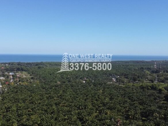 La Ceiba Honduras 34 Acres of Land for Sale with an Amazing Ocean View