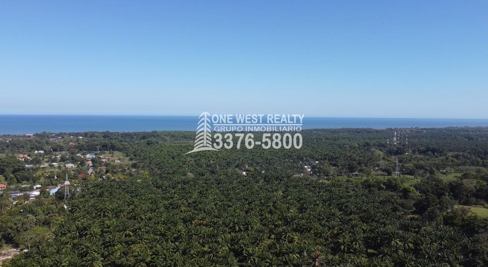 Terrenos-en-venta-en-La-Ceiba-4 La Ceiba Honduras 34 Acres of Land for Sale with an Amazing Ocean View