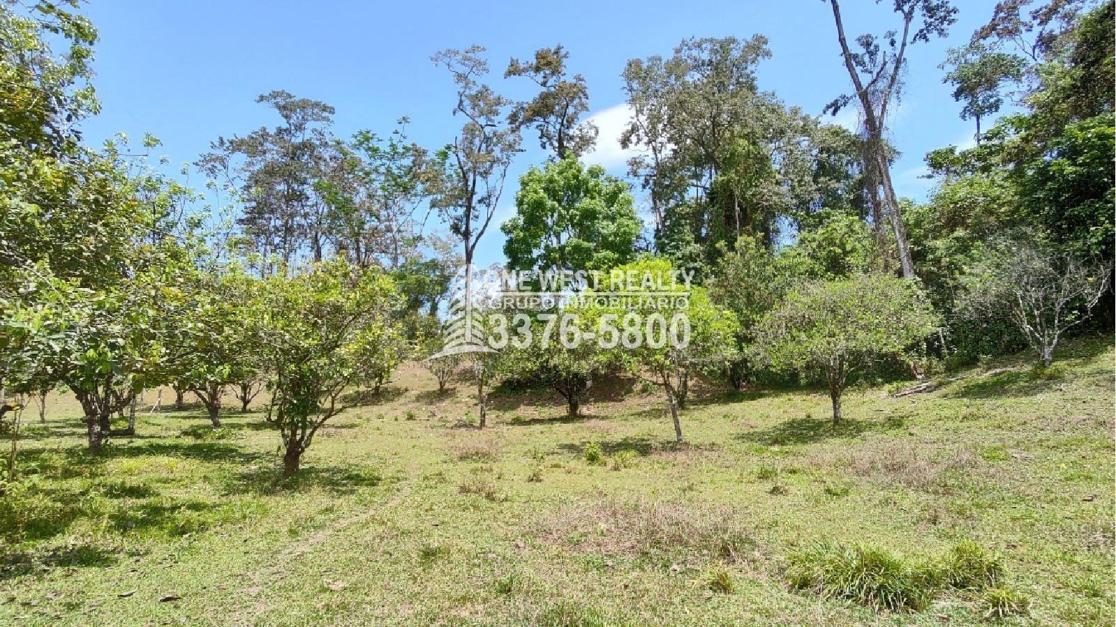 hermosa-propiedad-de-venta-en-omoa-honduras-2 Terreno de venta en Omoa Cortes con naciente de agua y cabañas