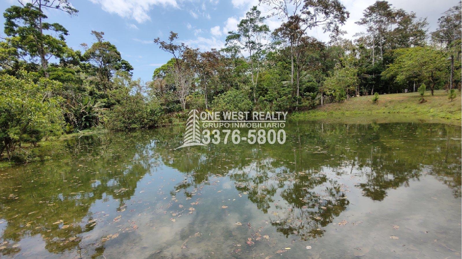 honduras-bienes-raices_omoa-cortes-terrenos-en-venta-2 Terreno de venta en Omoa Cortes con naciente de agua y cabañas