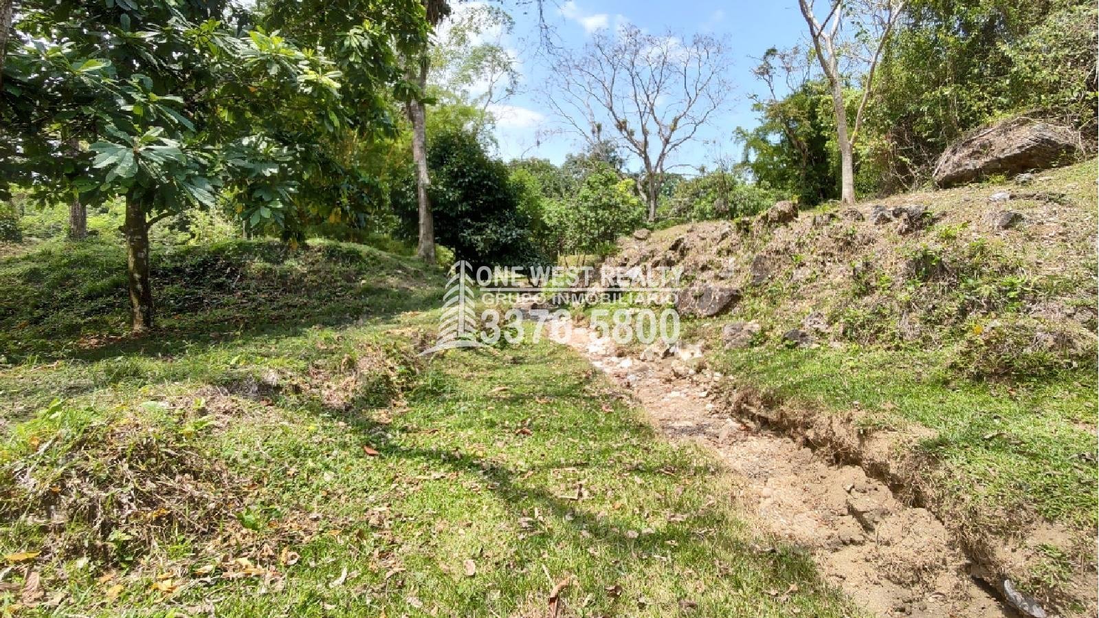 honduras-terrenos-y-casas-en-venta-2 Terreno de venta en Omoa Cortes con naciente de agua y cabañas