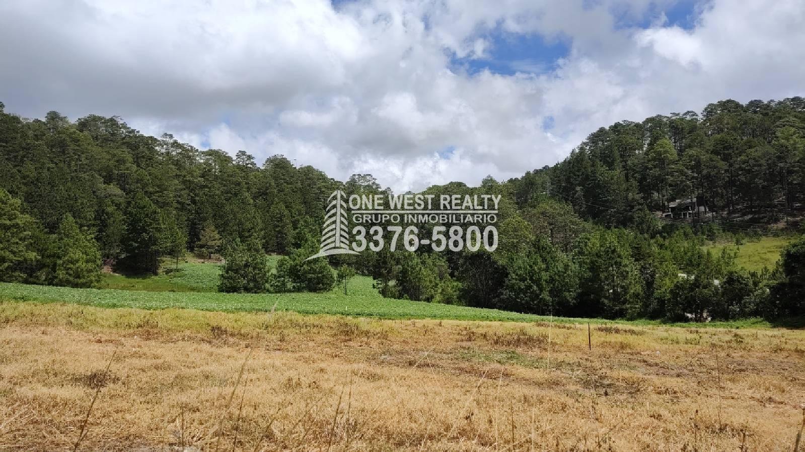 Terreno en venta a orilla de carretera en La Esperanza Intibuca Honduras