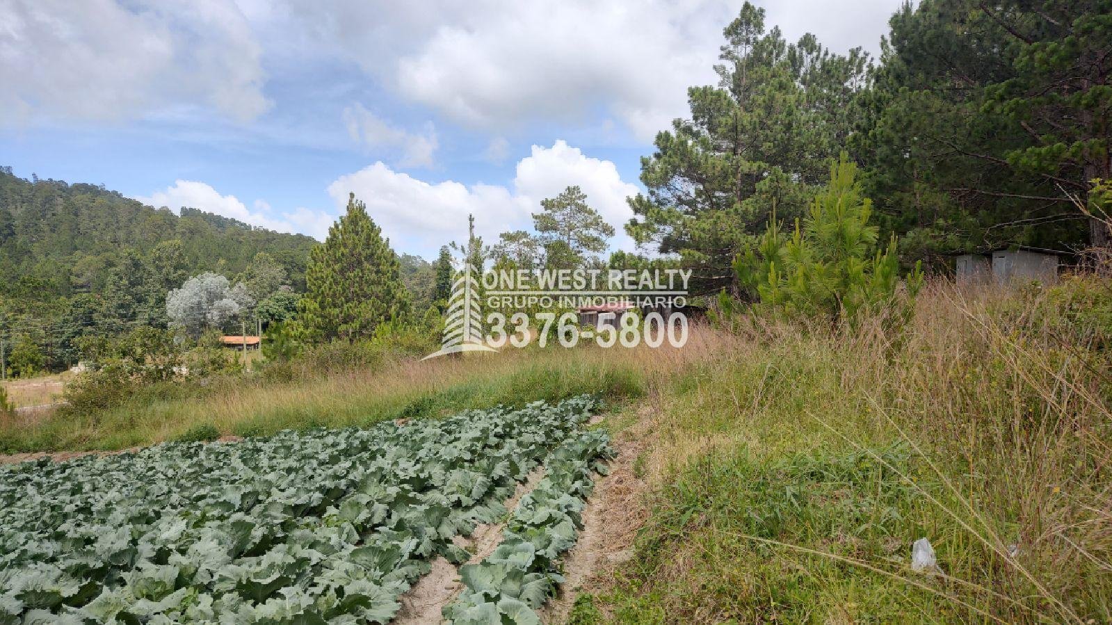 Terreno en venta a orilla de carretera en La Esperanza Intibuca Honduras