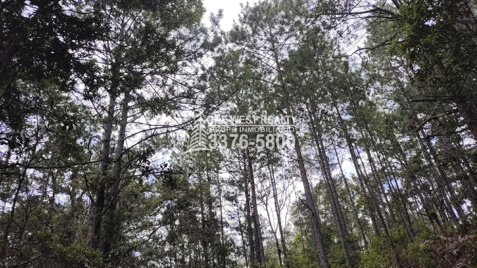 Terreno en venta a orilla de carretera en La Esperanza Intibuca Honduras