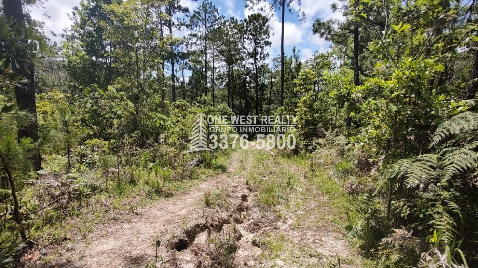 Terreno en venta a orilla de carretera en La Esperanza Intibuca Honduras